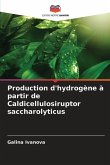 Production d'hydrogène à partir de Caldicellulosiruptor saccharolyticus