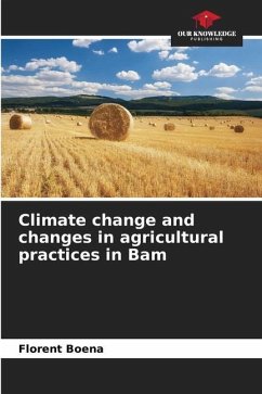 Climate change and changes in agricultural practices in Bam - Boena, Florent