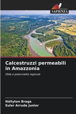 Calcestruzzi permeabili in Amazzonia - Braga, Nállyton;Arruda Junior, Euler