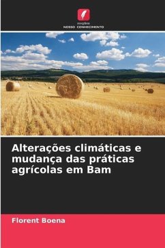 Alterações climáticas e mudança das práticas agrícolas em Bam - Boena, Florent