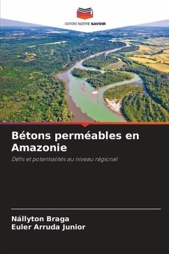 Bétons perméables en Amazonie - Braga, Nállyton;Arruda Junior, Euler