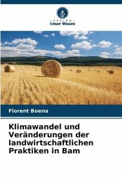 Klimawandel und Veränderungen der landwirtschaftlichen Praktiken in Bam - Boena, Florent