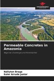 Permeable Concretes in Amazonia