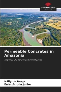 Permeable Concretes in Amazonia - Braga, Nállyton;Arruda Junior, Euler