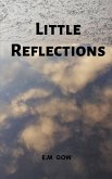 Little reflections Little reflections