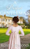A Perfect Gentleman (eBook, ePUB)
