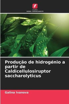Produção de hidrogénio a partir de Caldicellulosiruptor saccharolyticus - Ivanova, Galina