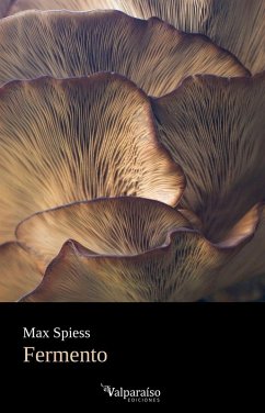 Cover Fermento