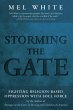 Storming the Gate (eBook, ePUB) - Bild 1