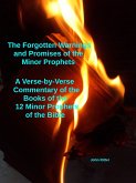 The Forgotten Warnings and Promises of the Minor Prophets A Verse-by-Verse Commentary of the Books of the 12 Minor Prophets of the Bible (eBook, ePUB)