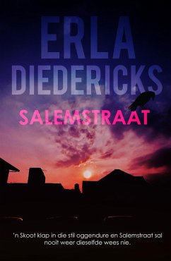 Cover Salemstraat (eBook, ePUB)