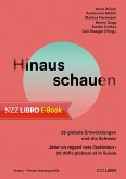 Hinausschauen (eBook, ePUB)