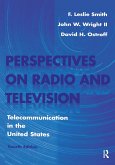Perspectives on Radio and Television (eBook, ePUB)