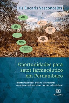 Oportunidades para setor farmacêutico em Pernambuco (eBook, ePUB) Cover Oportunidades para setor farmacêutico em Pernambuco (eBook, ePUB)