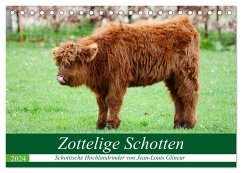 Zottelige Schotten (Tischkalender 2024 DIN A5 quer), CALVENDO Monatskalender - Glineur, Jean-Louis