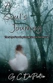 A Soul's Journey