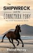 The Shipwreck and the Connemara Pony -... - Bild 1
