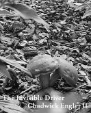 The Invisible Driver (eBook, ePUB)