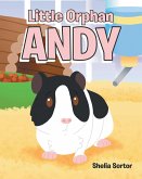 Little Orphan Andy (eBook, ePUB)