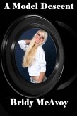 A Model Descent (eBook, ePUB) A Model Descent (eBook, ePUB)