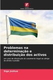 Problemas na determinação e distribuição dos activos