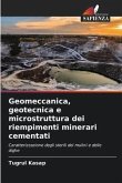 Geomeccanica, geotecnica e microstruttura dei riempimenti minerari cementati