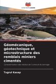 Géomécanique, géotechnique et microstructure des remblais miniers cimentés
