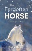The Forgotten Horse - Book 1 in the Connemara Horse Adventure Series for Kids   The Perfect Gift for Children