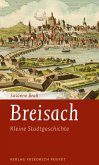 Breisach (eBook, ePUB)