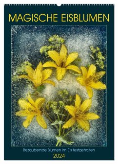 Magische Eisblumen (Wandkalender 2024 DIN A2 hoch), CALVENDO Monatskalender