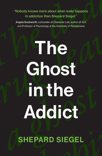 The Ghost in the Addict (eBook, ePUB)