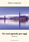 No voci agenda per oggi (eBook, ePUB)