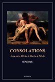 Consolations (eBook, ePUB)