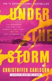 Under the Storm (eBook, ePUB)