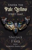 Under The Pale Yellow Street Lamp (eBook, ePUB)