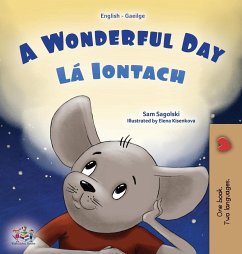 A Wonderful Day (English Irish Bilingual Children's Book) - Sagolski, Sam; Books, Kidkiddos