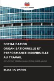 SOCIALISATION ORGANISATIONNELLE ET PERFORMANCE INDIVIDUELLE AU TRAVAIL