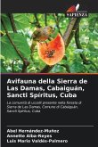 Avifauna della Sierra de Las Damas, Cabaiguán, Sancti Spíritus, Cuba