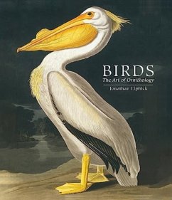 Birds - Elphick, Jonathan