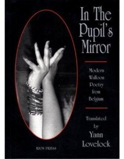 In The Pupil's Mirror In The Pupil's Mirror