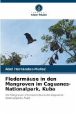 Fledermäuse in den Mangroven im Caguanes-Nationalpark, Kuba