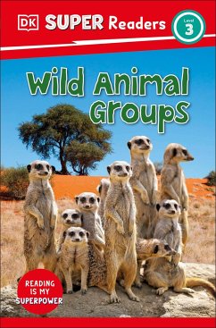 DK Super Readers Level 3 Wild Animal Groups - DK