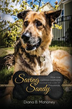 Saving Sandy - Mahoney, Diana B.