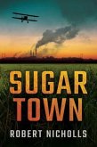 Sugar Town (eBook, ePUB)