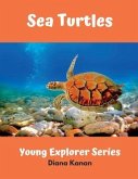 Sea Turtles (eBook, ePUB)