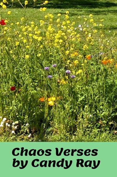 Chaos Verses (eBook, ePUB) Chaos Verses (eBook, ePUB)