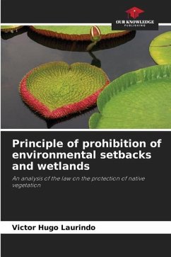 Principle of prohibition of environmental setbacks and wetlands - Laurindo, Victor Hugo