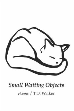 Small Waiting Objects - Walker, T. D.