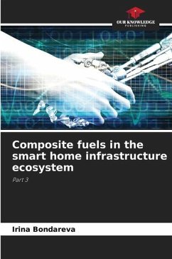 Composite fuels in the smart home infrastructure ecosystem - Bondareva, Irina