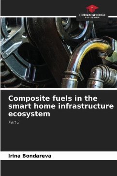 Composite fuels in the smart home infrastructure ecosystem - Bondareva, Irina